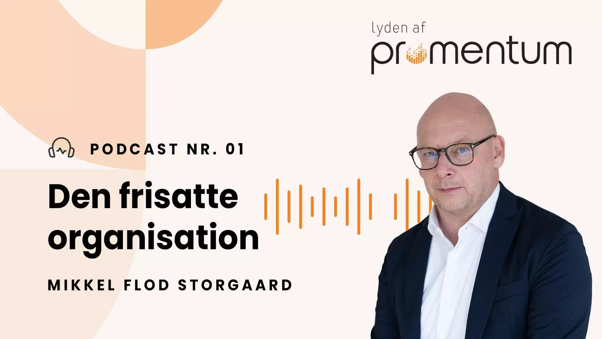 podcast om den frisatte organisation