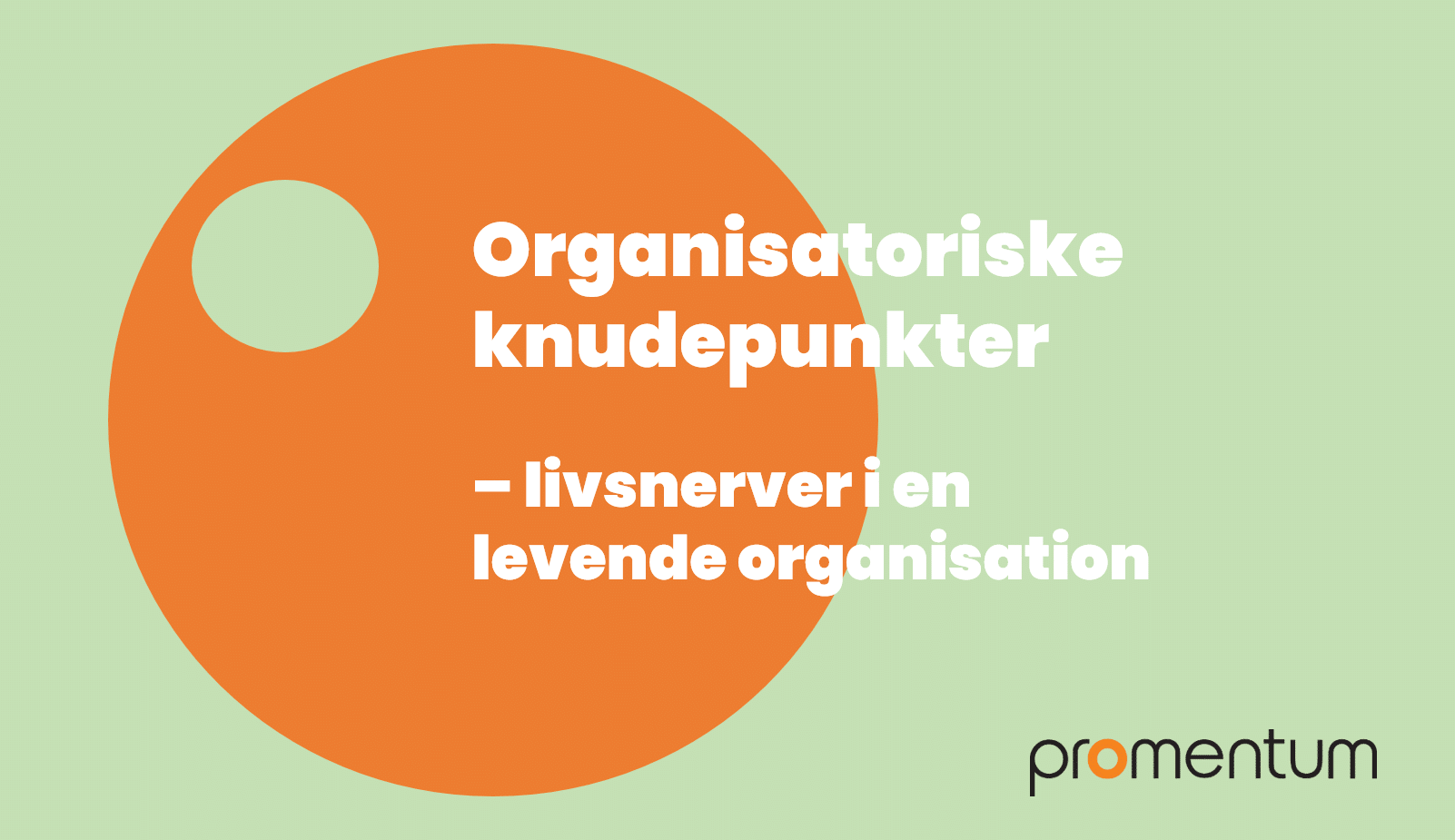organisationens livsnerve