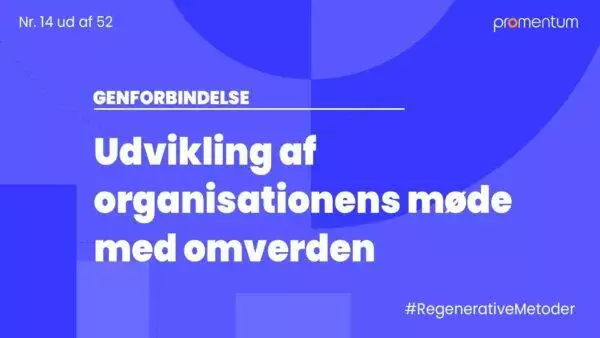 Organisationens møde med omverden