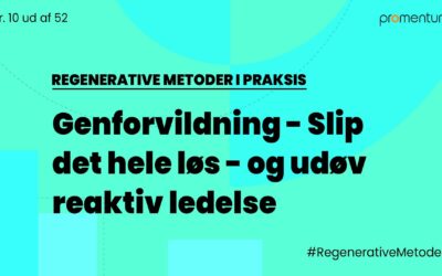 Genforvildning – Slip det hele løs – og udøv reaktiv ledelse