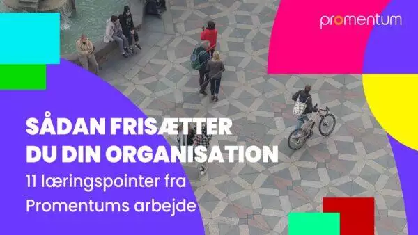 frisættende og regenerative organisationer